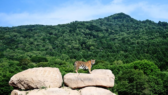 Taman nasional di China