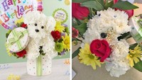 Niatnya membelikan hadiah romantis dengan bunga yang dibentuk seperti anak anjing. Entah bagaimana ceritanya, baran yang datang tidak ada bentuk anak anjing. Meski ada hidung dan mulut untuk bonekanya.