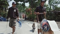 Topeng monyet adalah hal biasa yang kita saksikan di Indonesia. Pertunjukan yang menggunakan monyet kecil ini diibaratkan sirkus lawas yang sudah ada sejak lama.   