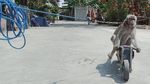 Topeng Monyet, Hiburan Sepanjang Zaman yang Kontroversial