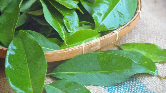 6 Manfaat Rebusan Daun Salam