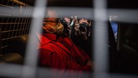 Dodi Reza Alex Noerdin ditahan mulai 16 Oktober sampai 4 November 2021.