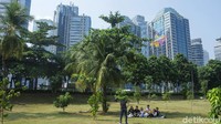 Hutan kota ini memiliki 3 konsep. Konsep yang pertama yaitu kebudayaan, kedua alam dan ketiga kejayaan Indonesia.