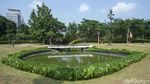 Gaes Hutan Kota GBK Sudah Buka Nih