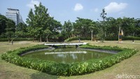 Sebagai ruang terbuka hijau, paru-paru kota, sekaligus lahan konservasi, taman seluas 4 hektar itu kini telah dibuka kembali.
