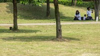 Hutan Kota GBK ini menjadi primadona liburan ringan ala warga kota Jakarta di tengah padatnya aktivitas.