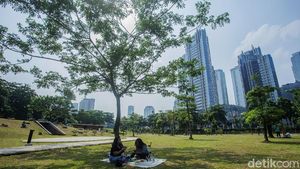 Gaes Hutan Kota GBK Sudah Buka Nih
