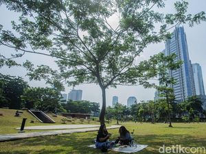 Gaes Hutan Kota GBK Sudah Buka Nih