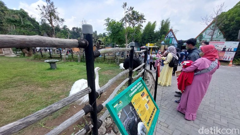 Lembang Park and Zoo Lembang Park and Zoo
