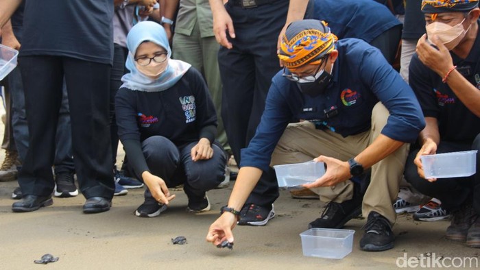 Menteri Sandiaga Berdayakan Masyarakat Melalui Konservasi Penyu di Pantai Serang Blitar