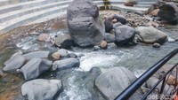 Panorama sungai mengalir yang tak begitu dalam inilah yang membuat tempat ini viral. Foto: detikFood/Yenny Mustika Sari