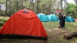 Spot Ngadem dan Ijo Royo-royo di Kudus, Pijar Park