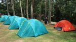 Spot Ngadem dan Ijo Royo-royo di Kudus, Pijar Park