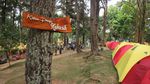 Spot Ngadem dan Ijo Royo-royo di Kudus, Pijar Park
