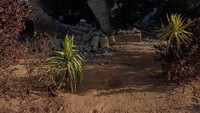 Selain itu, ada tujuh warga Karangasem mengalami luka berat. Bangunan tampak rusak akibat guncangan gempa (Dok. BPBD Bali)
