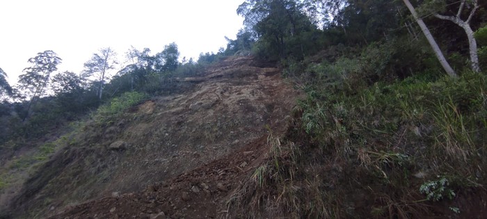Potret kerusakan akibat gempa Magnitudo 4,8 di Bali. (dok BPBD Bali)