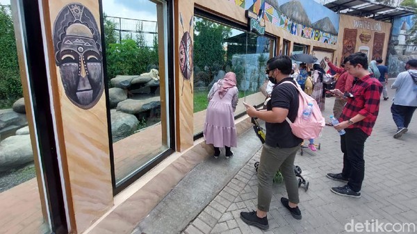 Di dalam area objek wisata, pengunjung tak cuma menikmati suasana di restoran. Namun juga berkeliling ke sejumlah kandang satwa. Di dalam area objek wisata, pengunjung tak cuma menikmati suasana di restoran. Namun juga berkeliling ke sejumlah kandang satwa.