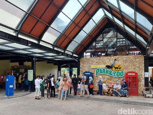 Lembang Park & Zoo Pertimbangkan Buka Lagi Usai Kaburnya Macan Tutul