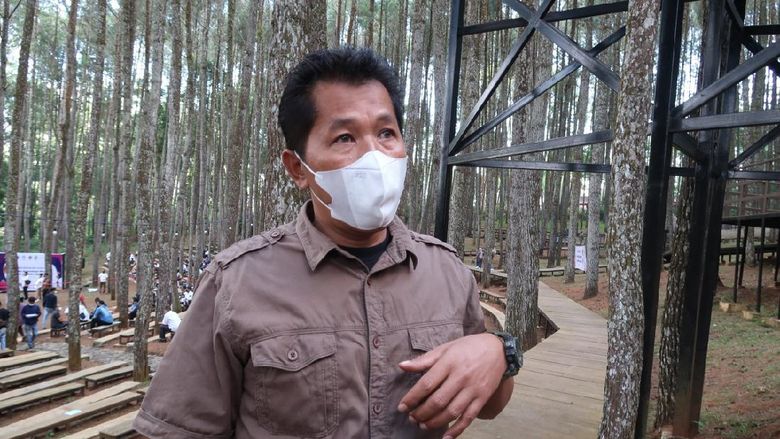 Purwo Harsono, pengelola Hutan Pinus Mangunan