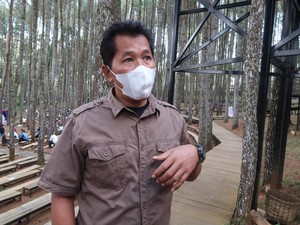 Mengenal Sosok di Balik Hutan Pinus Mangunan Jogja yang Populer
