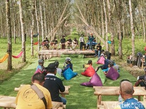 Musik, Olahraga, dan Kuliner Bersatu dalam Rubber Jazz di Banyuwangi