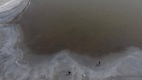 Pinggiran danau garam Epecuen yang merendam bekas kawasan wisata Villa Epecuen. 