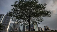 Pusat Pengelolaan Komplek Gelora Bung Karno (PPKGBK) kembali membuka kawasan Hutan Kota GBK untuk umum. 