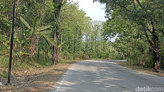 Hutan Tongtongan di Grobogan dikenal jadi lokasi pembuangan mayat sejak era Orba. Teranyar hutan ini jadi penemuan mayat wanita bugil terbungkus plastik, Rabu (13/10/2021)