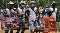 Warga Desa Banjarmangu, Kabupaten Banjarnegara, Jawa Tengah hari ini melepasliarkan ratusan burung ke alam. Upaya ini dilakukan untuk menjaga keseimbangan alam di sekitar tempat tinggal mereka, Minggu (17/10/2021).