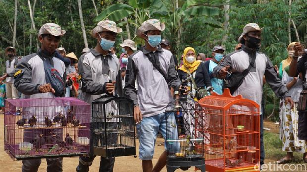 Pelepasan ratusan ekor burung di Desa Banjarmangu, Banjarnegara, Minggu (17/10/2021)