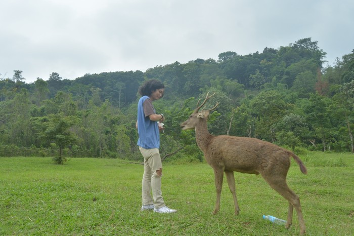 Penangkaran Rusa Cariu