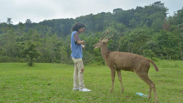 Penangkaran Rusa Cariu