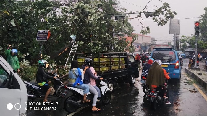 Pohon tumbang terjadi di Kota Bogor akibat hujan lebat
