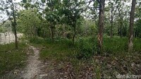 Pantauan detikcom, area tempat penemuan mayat wanita bugil terbungkus plastik itu cukup sepi. Tak ada penerangan di sekitar lokasi, kecuali dari kendaraan yang melintas, sehingga dipastikan area itu gelap di malam hari. Hutan ini pun dipenuhi tanaman jati maupun trembesi. 
