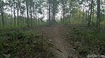 Potret Hutan yang Jadi Tempat Penemuan Mayat Wanita di Grobogan