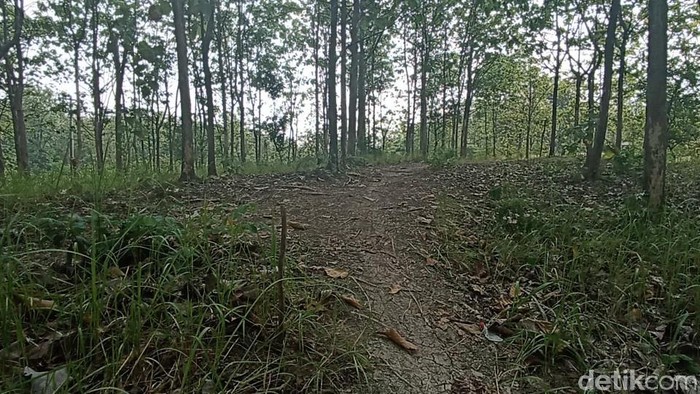 Mayat wanita dalam kondisi terikat dan terbungkus plastik ditemukan di hutan kawasan Grobogan. Hutan itu dikenal sebagai lokasi pembuangan mayat sejak Orde Baru