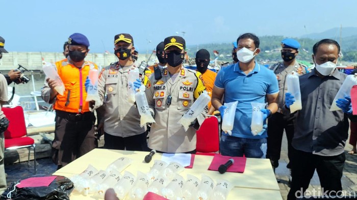 Ribuan benur siap ekspor diamankan polisi Sukabumi