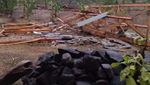 Rumah Rusak-Pohon Tumbang Imbas Hujan Es di Madiun