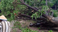 Diketahui, hujan es disertai angin kencang menerjang 5 desa di 4 kecamatan hingga menyebabkan 5 orang terluka. 5 Warga yang luka yang bertempat tinggal di Desa Sumberbendo Kecamatan Saradan. Foto: Istimewa