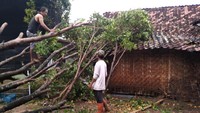 Hujan es disertai angin kencang menerjang kawasan Madiun, Jawa Timur. Tak hanya merusak rumah, puluhan pohon pun tumbang akibat kejadian tersebut, Minggu (17/10/2021). Foto: Istimewa.