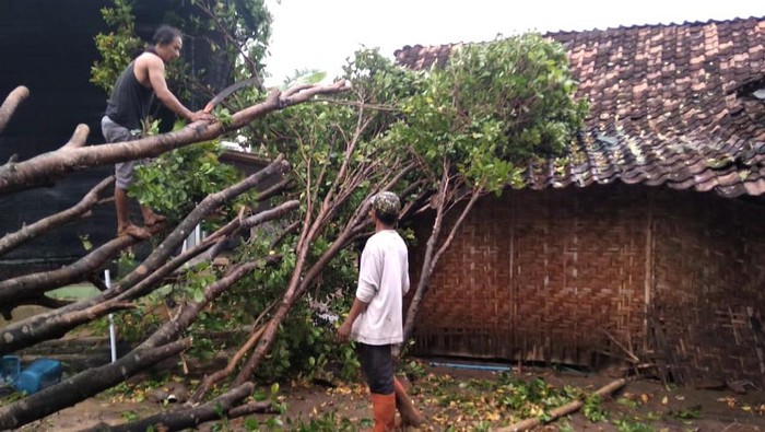 Hujan es yang disertai angin kencang sebabkan rusak dan pohon tumbang di Madiun. Tak hanya itu, longsor juga terjadi hingga tutup jalan penghubung antar desa.