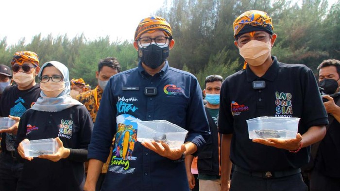 Sandiaga Lepas Tukik di Desa Wisata Pantai Serang Menteri Pariwisata dan Ekonomi Kreatif Sandiaga Uno mengunjungi Desa Wisata Pantai Serang, Blitar, Jawa Timur. Dalam kesempatan itu, Sandi melepaskan tukik.