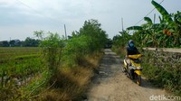 Sehari-hari, Emi harus bergegas dari rumahnya menuju Pasar Tawang untuk melayani nasabah karena di sanalah terdapat layanan BRILink.