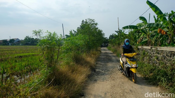 Bertugas sebagai agen BRILink jadi tantangan tersendiri bagi Emi Farida. Setiap hari Emi seberangi sungai demi bantu warga di Kendal melakukan transaksi ekonomi