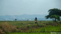 Menaiki motor di pinggir sawah sudah menjadi keseharian Emi.