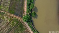 Selain itu, Emi harus menyeberang sungai untuk melayani nasabah. Kadang, Emi harus berputar hingga Kecamatan Gringsing, Kabupaten Batang, jika sungai meluap.