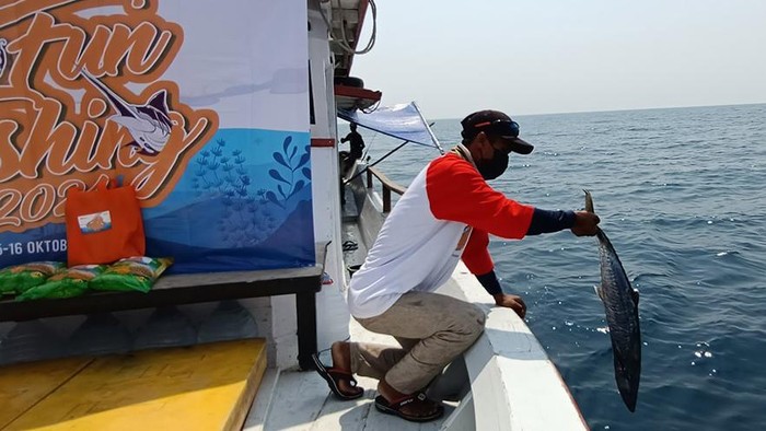 Serunya Mancing Ikan Kakap-Tenggiri di Perairan Selat Sunda Sejumlah pemacing menangkap berbagai jenis ikan saat acara BNI Fun Fishing 2021 di perairan Selat Sunda, Banten, Sabtu (16/10/2021).
Target para pemancing yaitu ikan kakap hingga tenggiri. Mereka berlomba-lomba mencari ikan terbesar dan terbanyak untuk dibawa pulang.
Selain keseruan memancing, kegiatan yang rutin digelar setiap tahun ini diisi dengan membagikan sembako untuk para nelayan pesisir Serang. BNI Fun Fishing 2021 diikuti oleh sejumlah jurnalis media online di Jakarta.