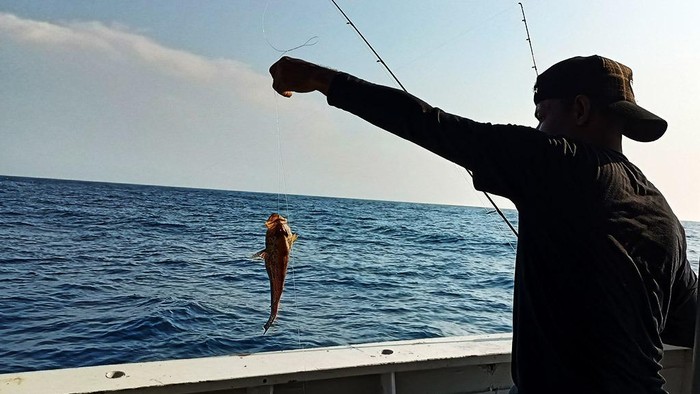 Sejumlah pemacing menangkap berbagai jenis ikan saat acara BNI Fun Fishing 2021 di perairan Selat Sunda, Banten, Sabtu (16/10/2021). 
Target para pemancing yaitu ikan kakap hingga tenggiri. Mereka berlomba-lomba mencari ikan terbesar dan terbanyak untuk dibawa pulang.

Selain keseruan memancing, kegiatan yang rutin digelar setiap tahun ini diisi dengan membagikan sembako untuk para nelayan pesisir Serang. BNI Fun Fishing 2021 diikuti oleh sejumlah jurnalis media online di Jakarta.