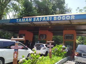 Perhatian! Liburan ke Taman Safari di Libur Lebaran Diimbau Beli Tiket Online