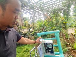 Aplikasi Canggih untuk Petani, Pantau Tanaman dari Jauh